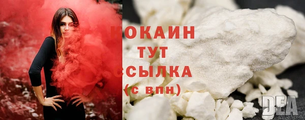 амф Гусиноозёрск