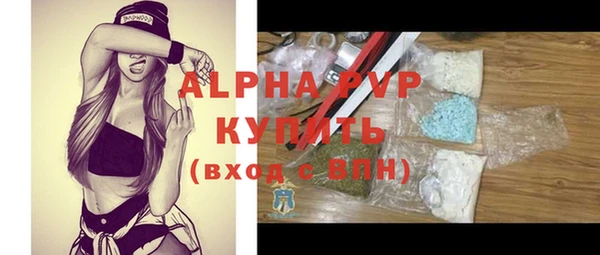 амф Гусиноозёрск