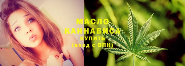 дурь Гусев