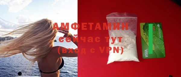 амф Гусиноозёрск