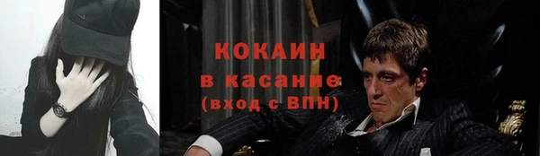 дурь Гусев