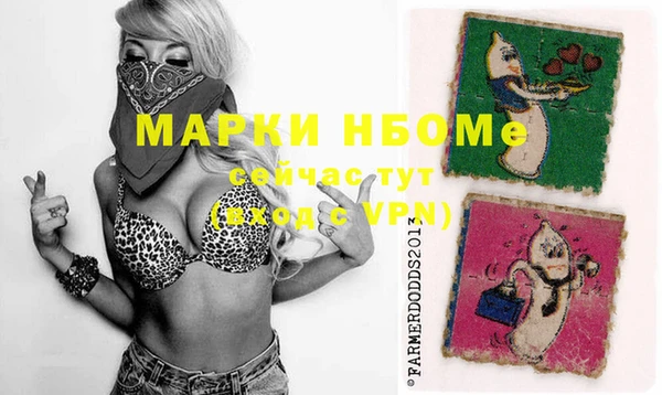 apvp Гусь-Хрустальный