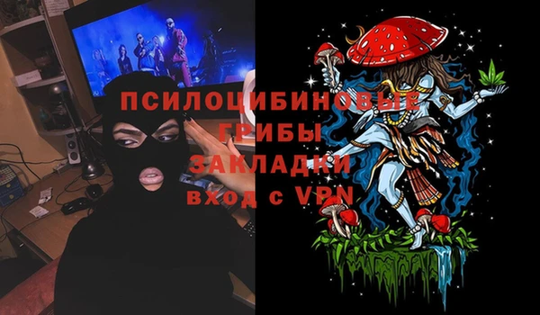 амф Гусиноозёрск