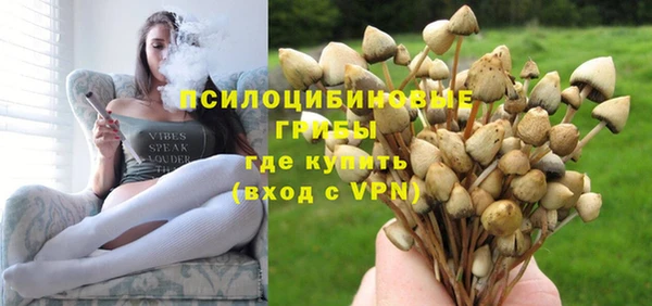 apvp Гусь-Хрустальный