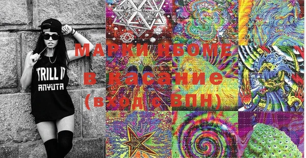 амф Гусиноозёрск