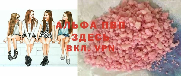 амф Гусиноозёрск