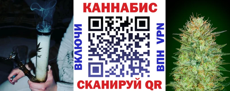 Купить закладки  Ленинградская  Канабис сатива 